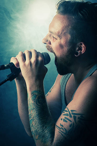 istock Rocker Sings in Concert 155438220