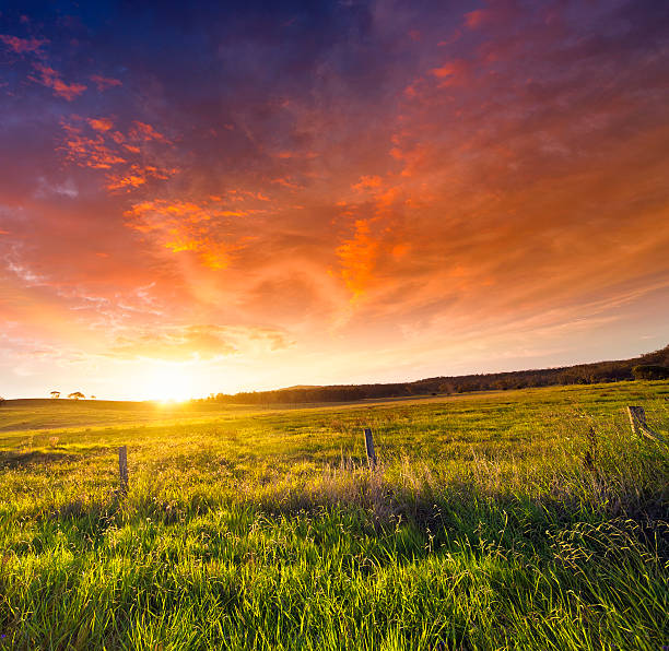 золотой sunset - grandchester стоковые фото и изображения