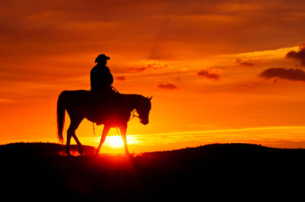 istock Cowboy rides during the sunset 155438825