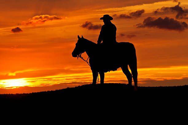 istock Silhouette cowboy and horse 155438829