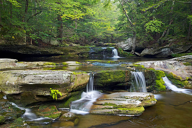 Vernooy Kill Falls Waterfall in  Catskill Mountains stock photo