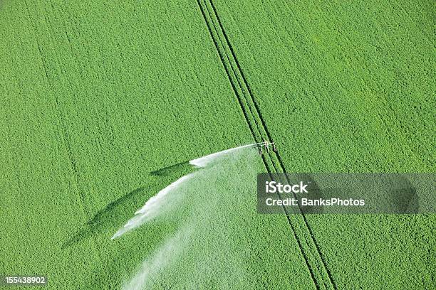 Water Reel Irrigation System Sprayer In Farm Field Stock Photo - Download Image Now - Irrigation Equipment, Agriculture, Water