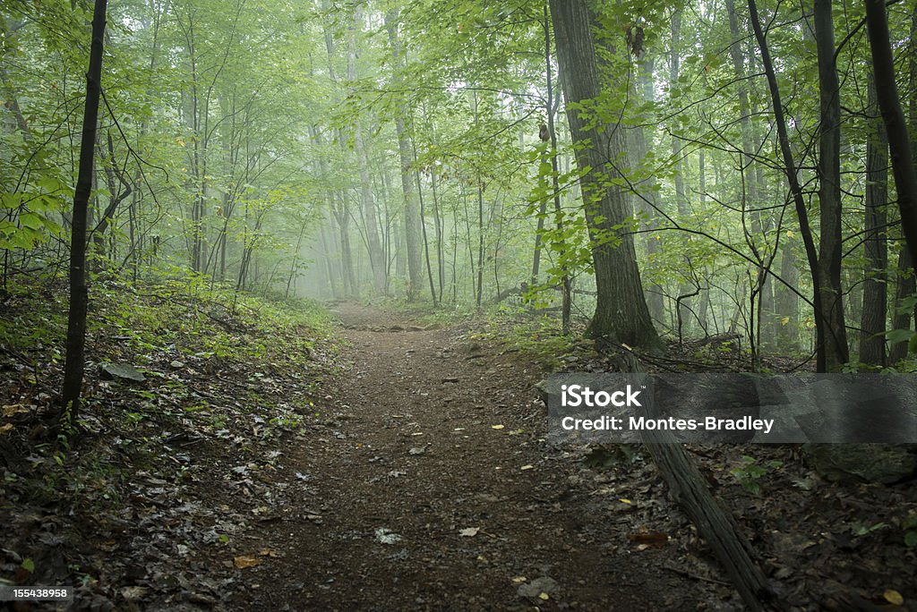 Hiking Trail A path in the Blue Ridge Mountains by the Dark Hollow Falls. Appalachian Trail Stock Photo