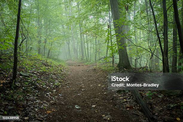 Hiking Trail Stock Photo - Download Image Now - Appalachian Trail, Shenandoah National Park, Virginia - US State