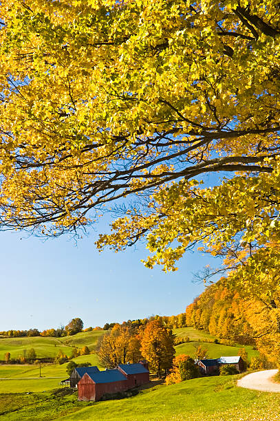istock Autumn in Vermont 155439060