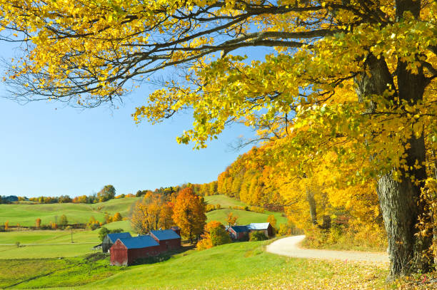 istock Good Morning Vermont 155439093
