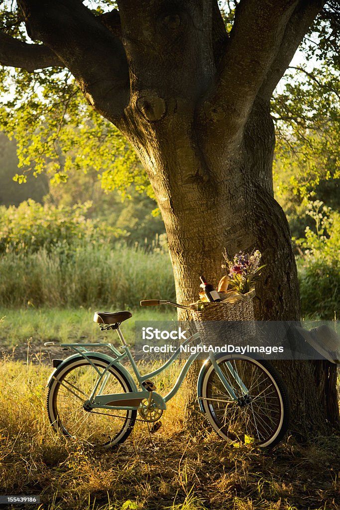 Bicicleta Retro con vino tinto en cesta de Picnic XXXL - Foto de stock de Otoño libre de derechos