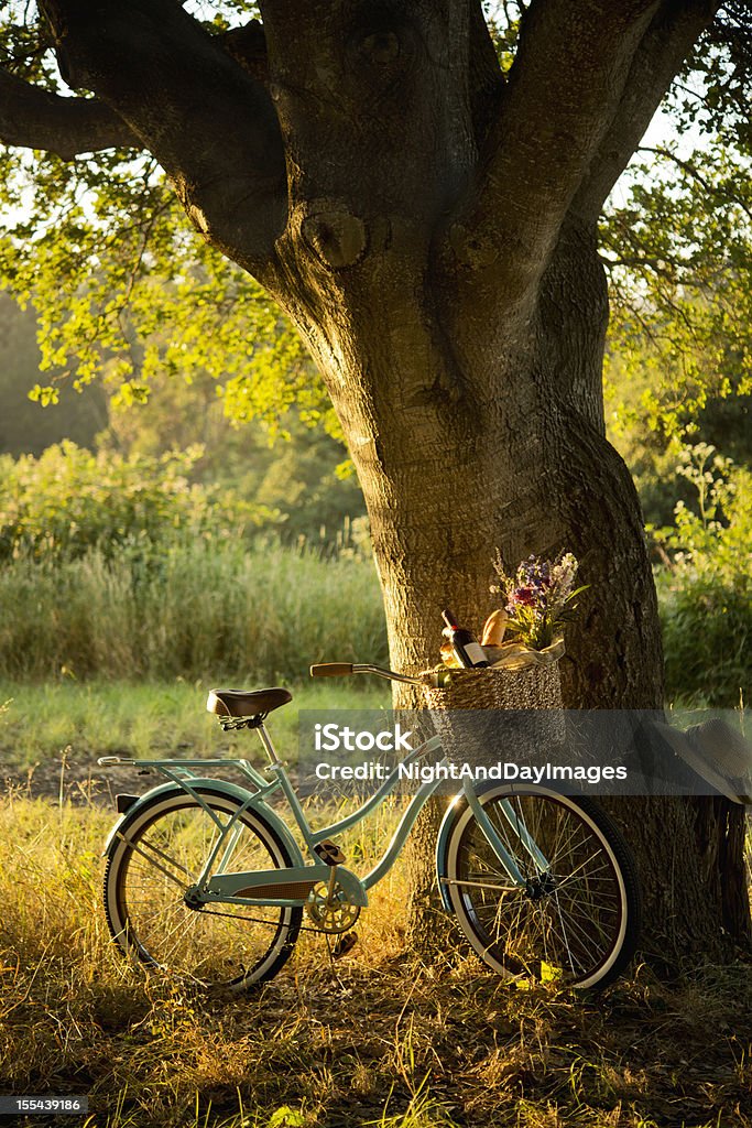 Retro rower z czerwone wino w kosz piknikowy XXXL - Zbiór zdjęć royalty-free (Jesień)