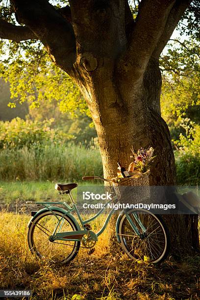 Retro Rower Z Czerwone Wino W Kosz Piknikowy Xxxl - zdjęcia stockowe i więcej obrazów Jesień - Jesień, Piknik, Kwiat - Roślina