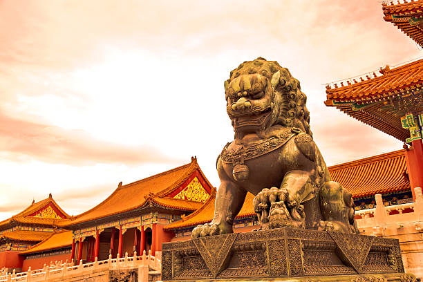 The Forbidden City in beijing,China The Forbidden City with sunset glow in beijing,China asian lion stock pictures, royalty-free photos & images