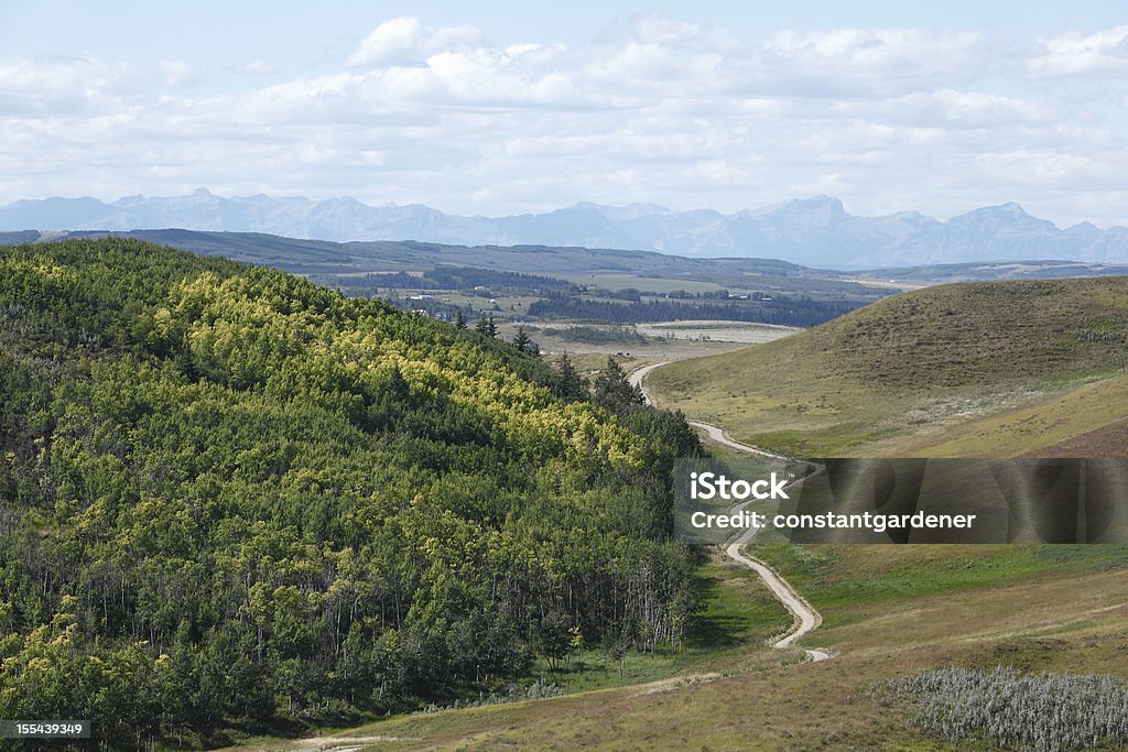 Grüne Wiesen und Wälder von Alberta - Lizenzfrei Anhöhe Stock-Foto