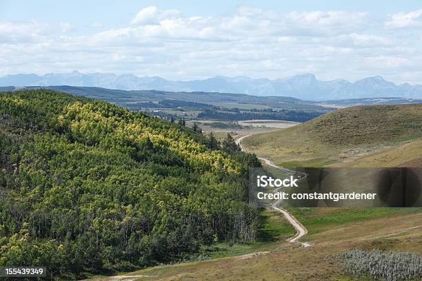 Grüne Wiesen Und Wälder Von Alberta Stockfoto und mehr Bilder von Anhöhe - Anhöhe, August, Baum