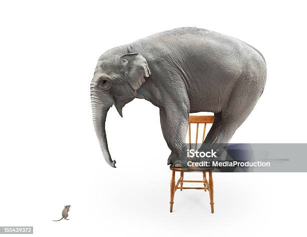 Elephants Fear Of Mice Stock Photo - Download Image Now - Elephant, Fear, Humor