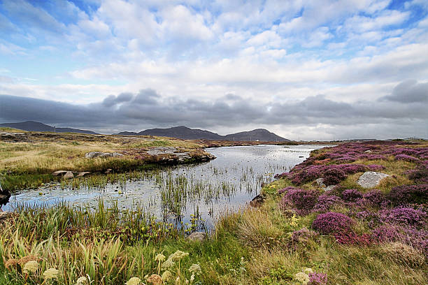 moorland perto daliburgh, sul uist - bog imagens e fotografias de stock