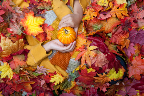 istock Boy buried in autumn leaves 155439693