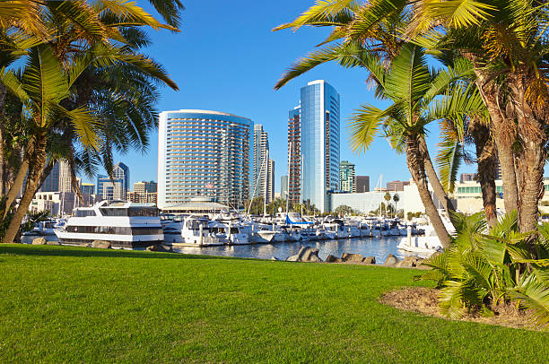 istock San Diego Skyline, California 155439954