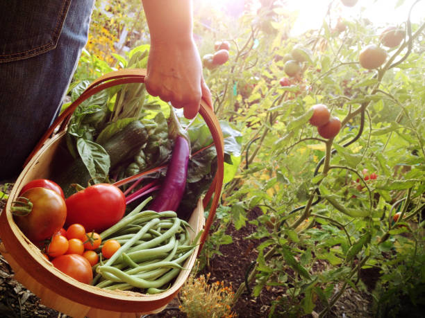 Crate with vegetables