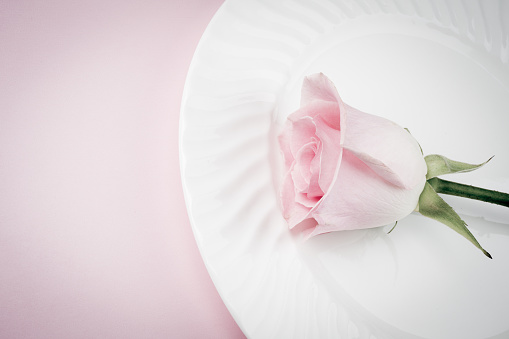 White Plate with Pink Rose and Background slightly desaturated with copy space to create a wedding or banquet invitation