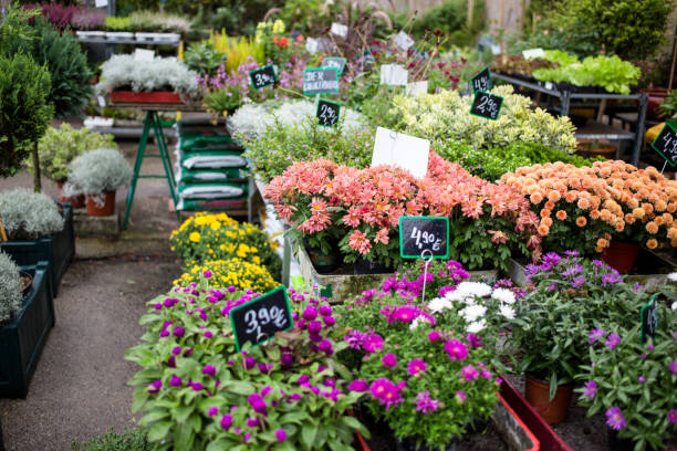 European Flower Shop