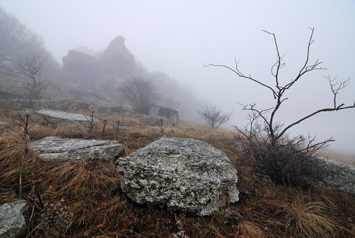 Mountain landscape with rocks in fog