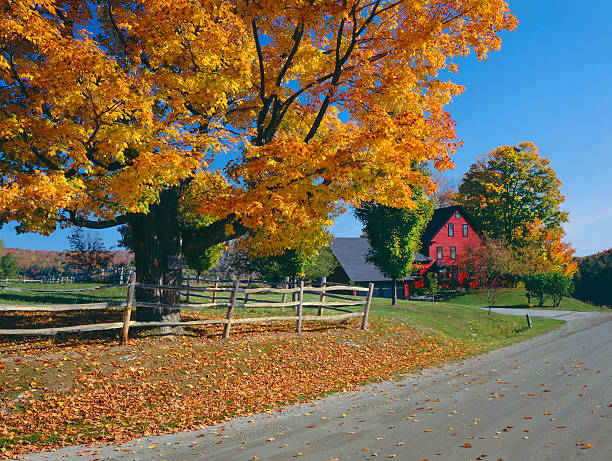 istock Autumn scene in rural Vermont with Fall foliage and red barn 155441287