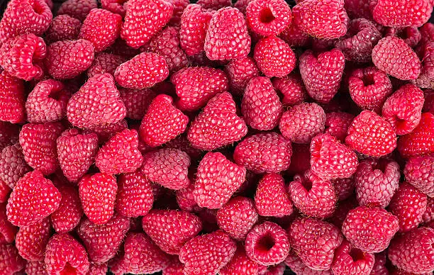 fresh rasberries 