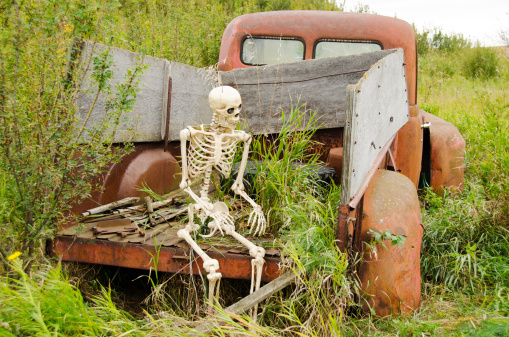 A human replica skeleton sitting on an old rusty and abandoned farmer's pick-up truck.The truck is pre 1950 and left in a field.
