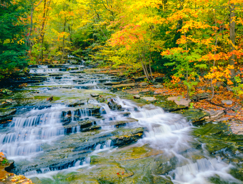 Long exposure shot of the beautiful Cheaha Falls with bright autumn color in the background.
