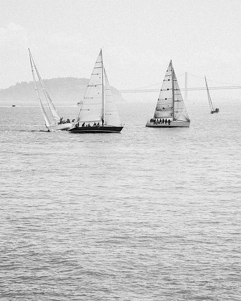 sailboats navigating in the san francisco area, with golden bridge in the background.