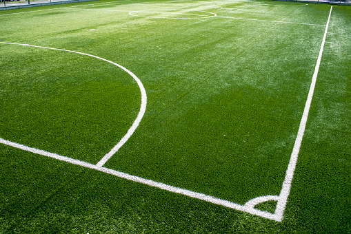 basketball ball on green grass