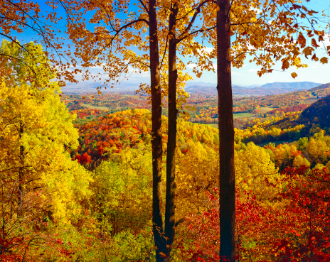autumn vista of the Roanoke Virginia area from the Blue Ridge Parkway
