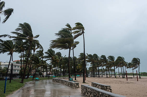 tempête sur la plage - monsoon photos et images de collection