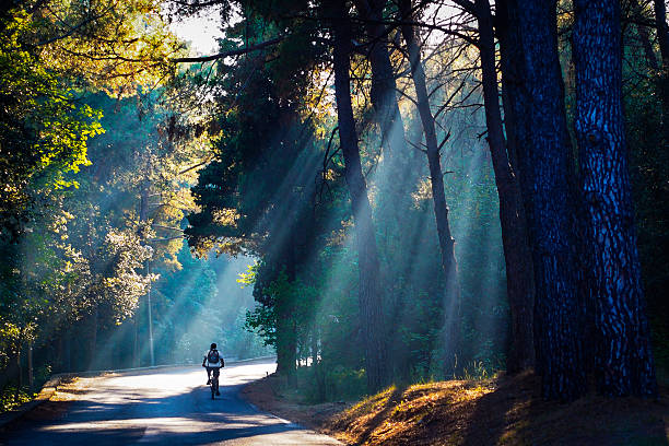 istock Cyclist on country side road 155442422