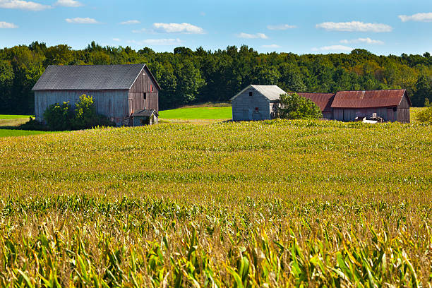 istock Scenic Rural Midwest Farm Landscape 155442565