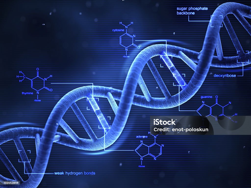 ADN - Photo de ADN libre de droits