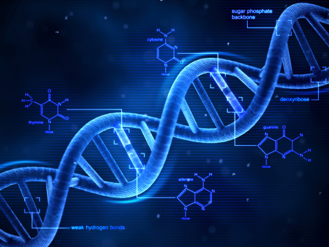 3d DNA structure with formulas