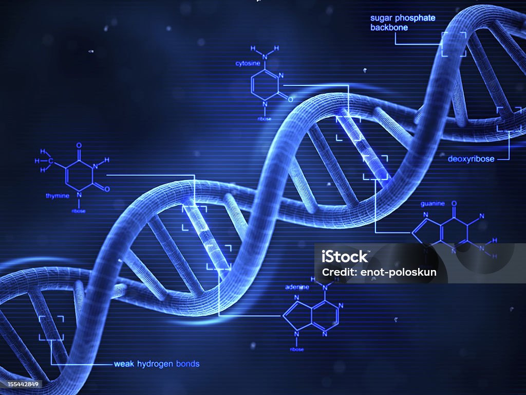 DNA - Zbiór zdjęć royalty-free (DNA)