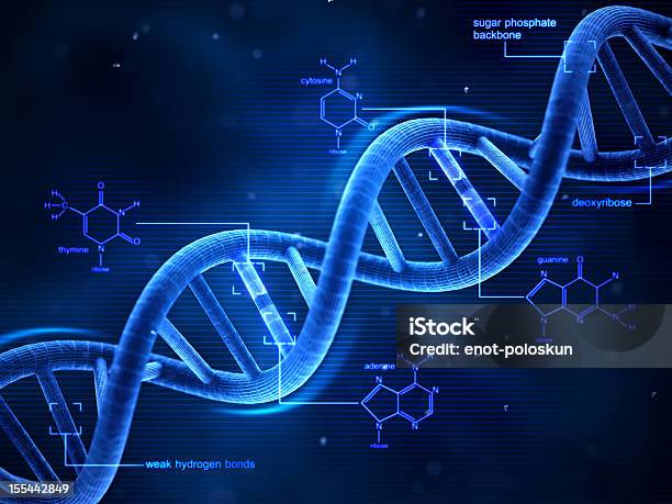 Dna - zdjęcia stockowe i więcej obrazów DNA - DNA, Spirala - Figura geometryczna, Technologia