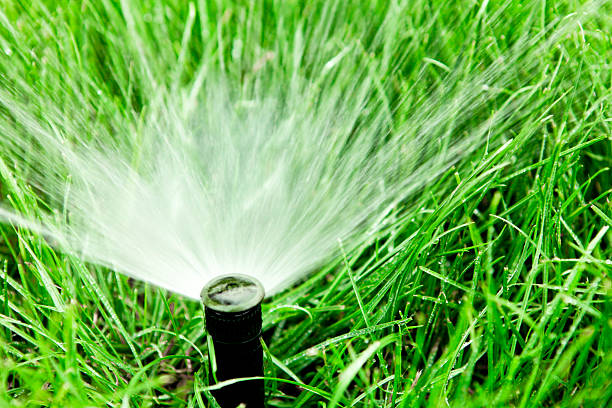 istock Garden Hose Sprinkler 155442894