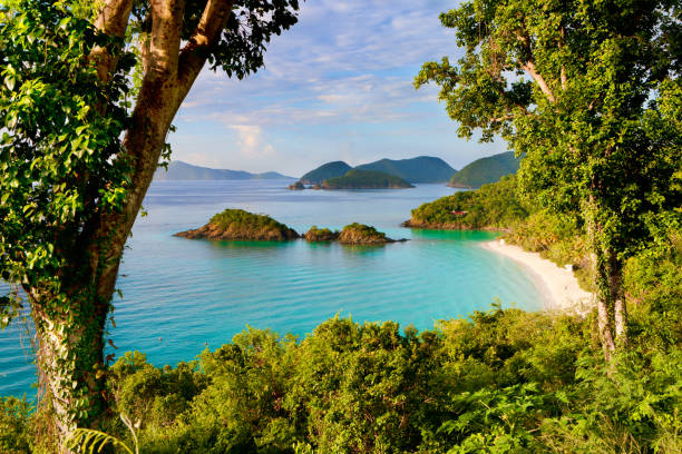 overlook of Trunk Bay, St. John, US Virgin Islands in the Caribbean - one of the world's most beautiful beaches