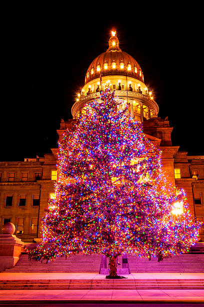 capitólio do estado de idaho e árvore de natal - idaho state capitol imagens e fotografias de stock