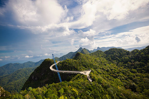 스카이 구름다리 금연 - tropical rainforest elevated walkway pulau langkawi malaysia 뉴스 사진 이미지