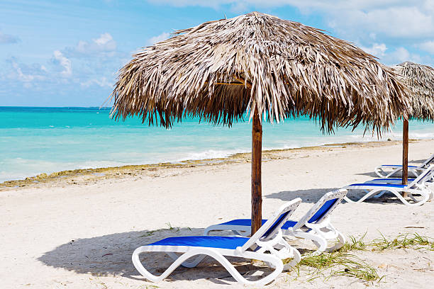 istock Idyllic Tropical Beach, Vacation, Fun in the Sun 155443659