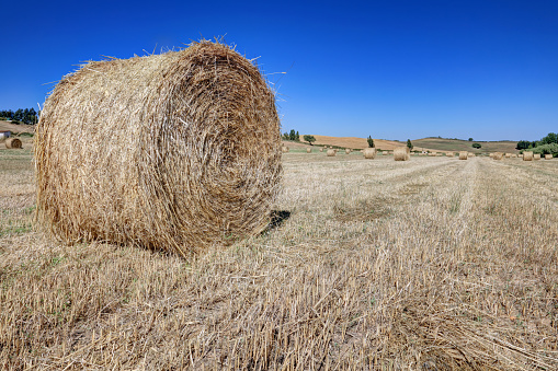 Large hay bale covered with snow in central Montana in western United States of America (USA).