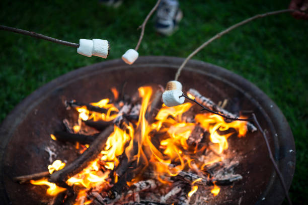 gebratene marshmallows über einem feuer der brennenden holz - fire pit fire camping burning stock-fotos und bilder