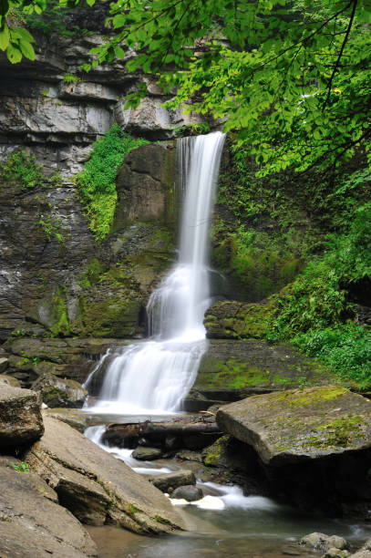istock Waterfalls in Fillmore Glen State Park 155443838