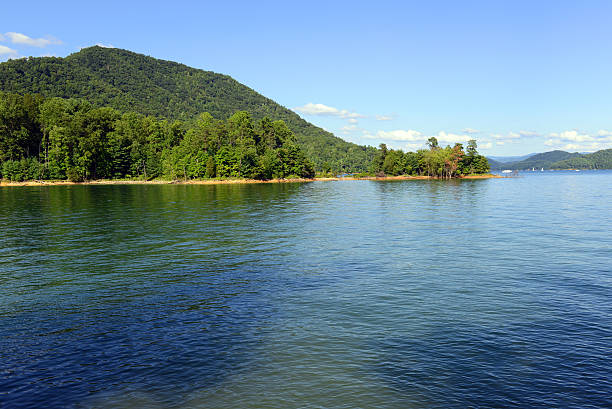 A girl floats in a lake in the height of summer.