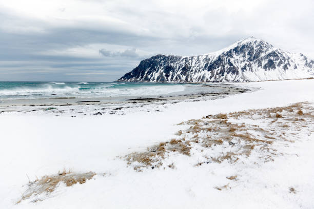 istock Snowy Beach in winter on Lofoten Islands, Norway 155444141