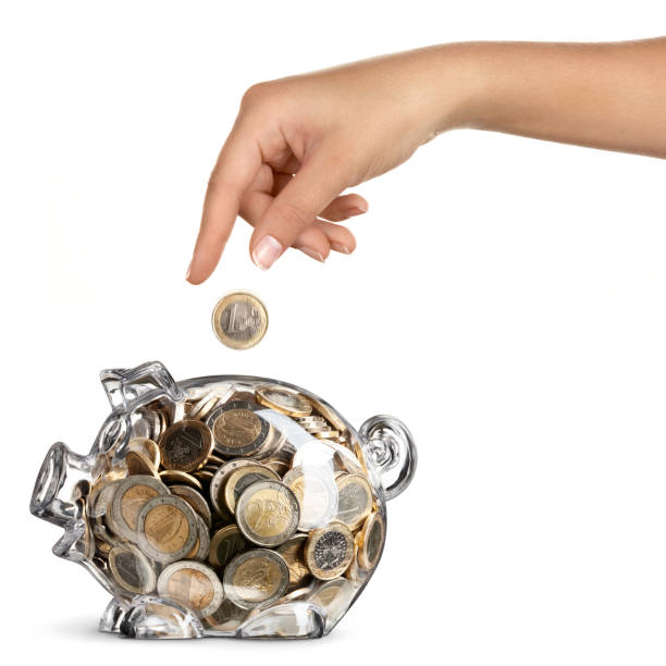 istock Euro Full Savings Bank - Female 155444211