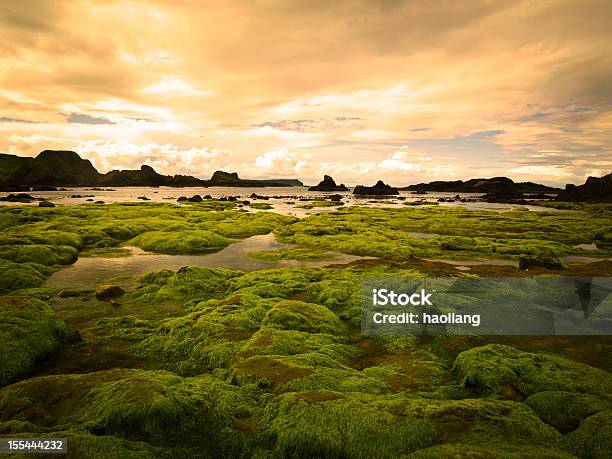 Northern Ireland Stock Photo - Download Image Now - Northern Ireland, Landscape - Scenery, Moss